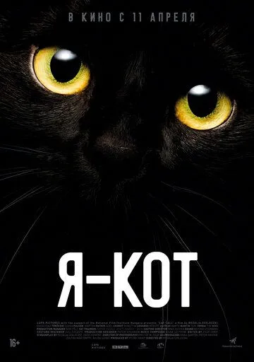 Я - кот